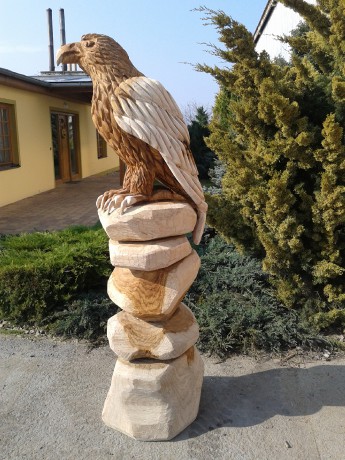 cekatel 2013