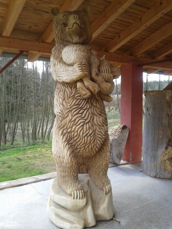medvěd 2-2015