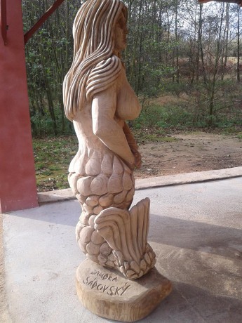 morska panna 2013 (5)